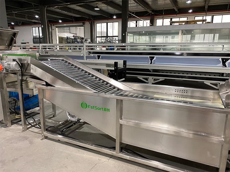 images/1709543290246avocado bubble machine.jpg